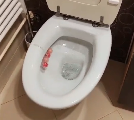 WC školjka poslije čišćenja